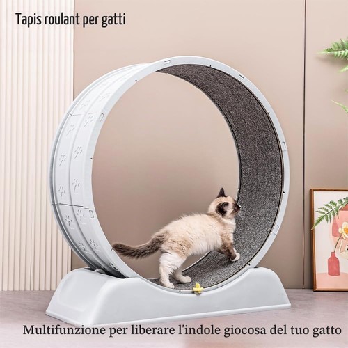 Tapis roulant per gatti