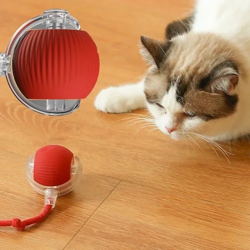 Palla interattiva pet smart - pet,