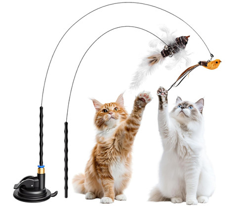 Set gioco gatto - 5, interattivo
