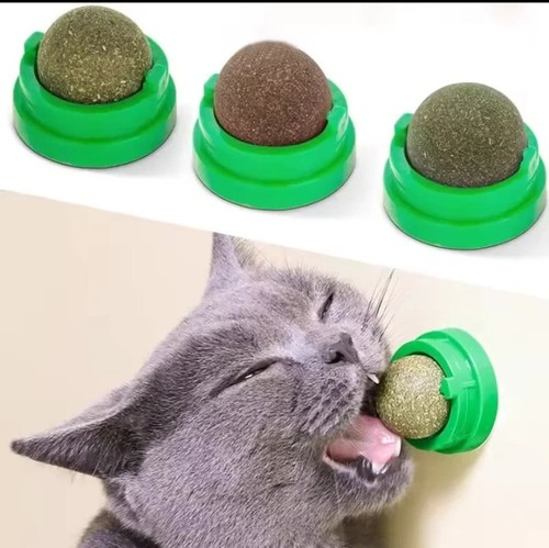 Gioco gatti erba gatta palla - erba,