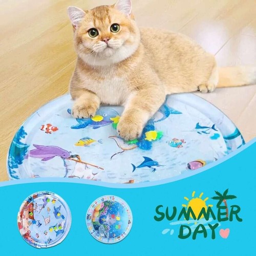 Gioco interattivo per gatti - interattivo,