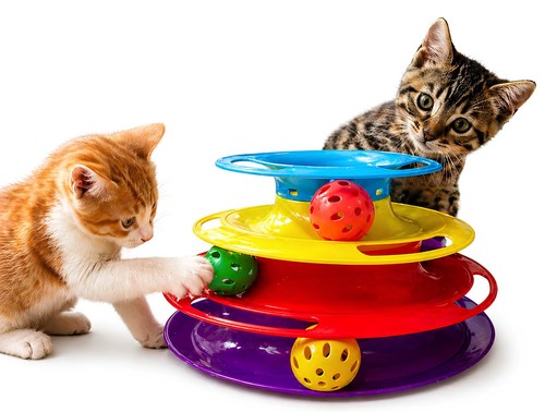 Giochi per gatti - giochi,