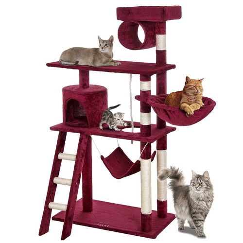 Albero tiragraffi per gatti - albero,