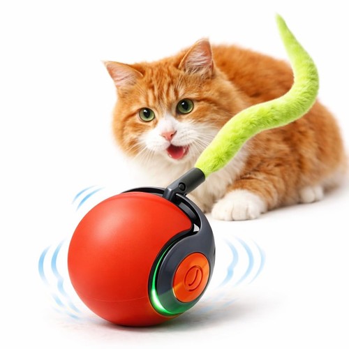 Giochi interattivi per gatti - giochi,