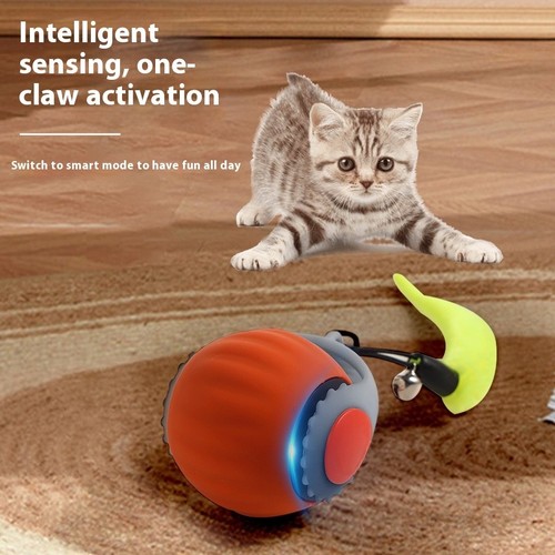 Palla intelligente per gatti - intelligente,