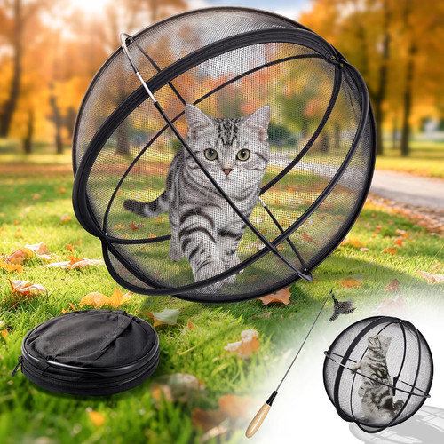 Sfera gatto per esterno palla - per, esterno,