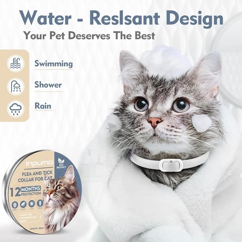 Collare antipulci gatto - collare,