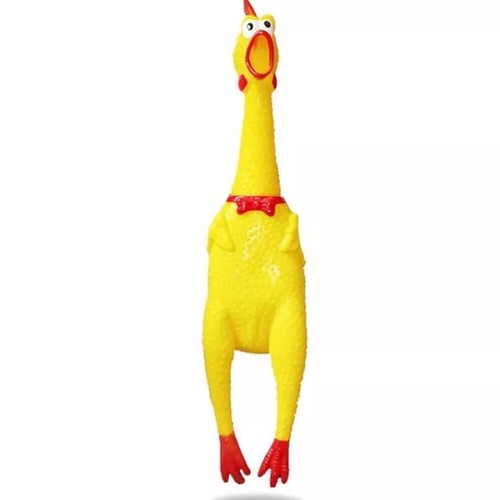 Pollo gomma gioco - gomma, per