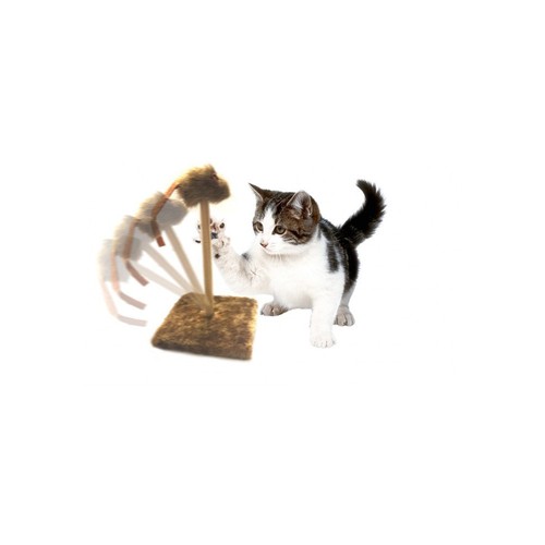 Tiragraffi per gatti con - gatti,