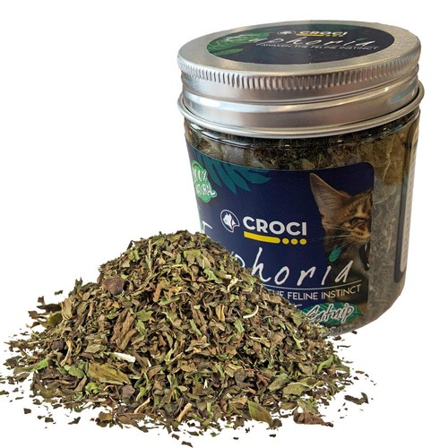 Euphoria barattolo catnip erba - barattolo,